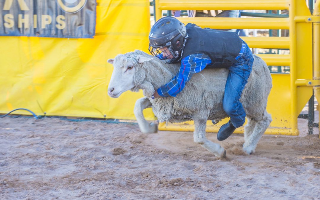 Comal County Fair in New Braunfels, Texas: A Must-See Event Guide