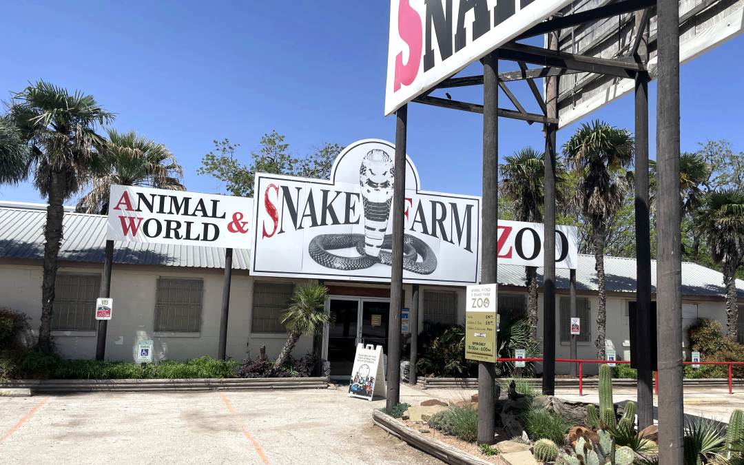 Animal World and Snake Farm Zoo’s New Braunfels, Texas: A Must-Visit Destination for Wildlife Lovers