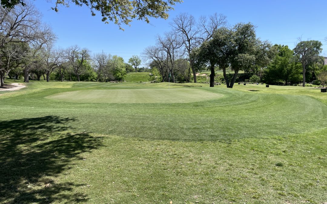 Landa Park Golf Course - Green