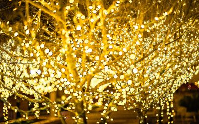 Christmas Tree Lighting Ceremony in New Braunfels – Nov 22nd