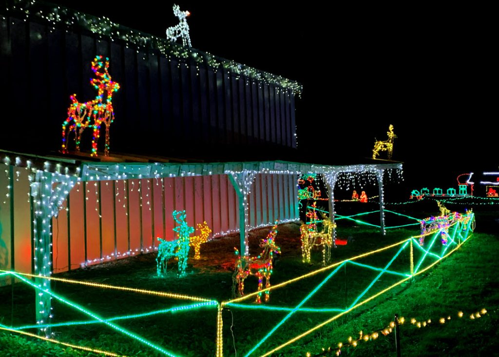 Lighted Reindeer Decorations at Santa's Ranch