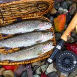 Photo of three Trout Fish in a Basket with Fishing Equipment next to it on the ground