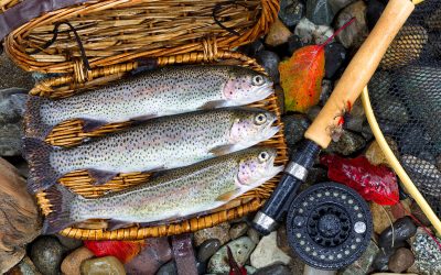 Free Trout Fishing Access at Camp Huaco Springs: Dec 6th to March 3rd, 2025