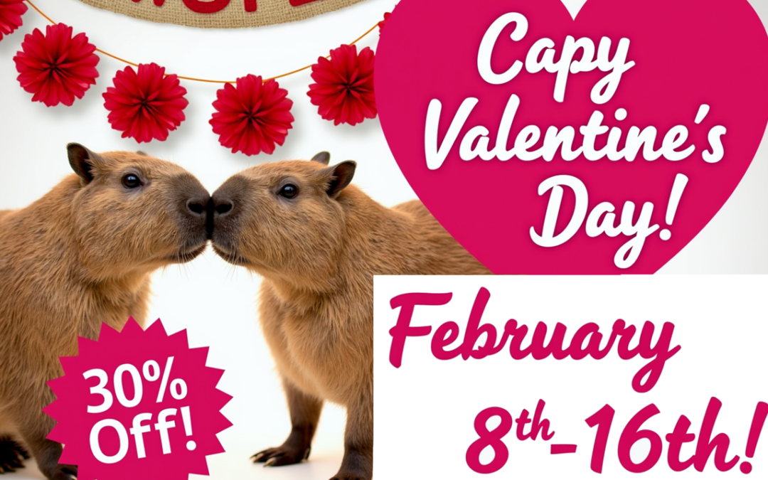 Capy Valentines at the AWSF Zoo from Feb 8th to 16th, 2025