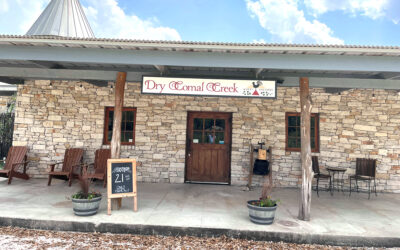 Dry Comal Creek Vineyards: Exploring Award-Winning Texas Wines